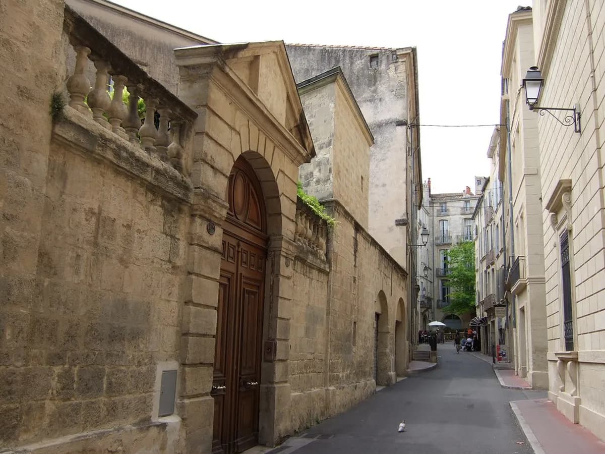 Musée Fabre, Montpellier: Tickets, Hours & Highlights (2026)