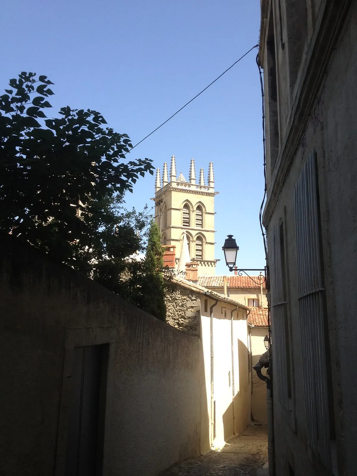 Montpellier Cathedral and Saint-Pierre Guide: History & Tips