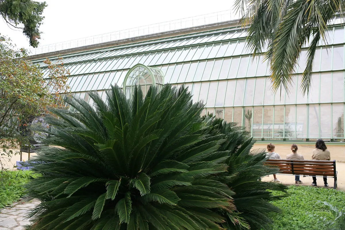 Pathways and plantings in the Jardin des Plantes de Montpellier, France's oldest botanical garden