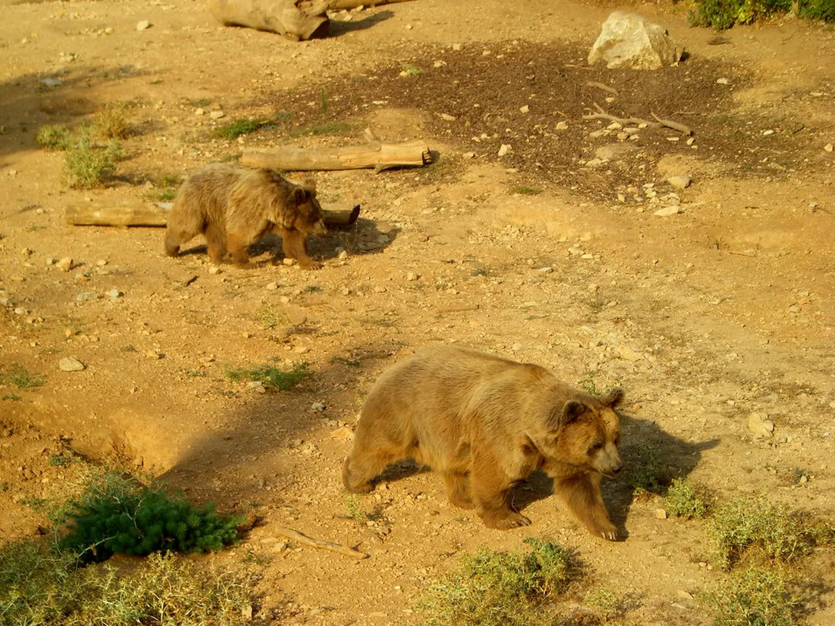 Parc Zoologique de Lunaret, Montpellier's free zoo in the wooded hills north of the city