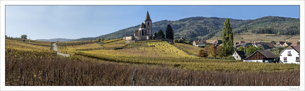 9 Best Day Trips and Travel Tips for the Alsace Wine Route in Colmar's Alsace old town