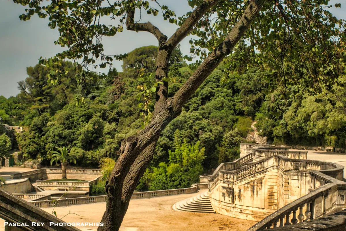 Jardins de la Fontaine gardens in Nîmes with scenic tower views