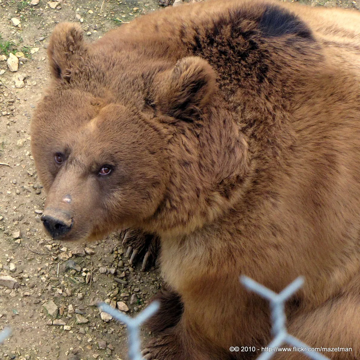 Montpellier Parc Lunaret Zoo with animals and natural reserve landscape