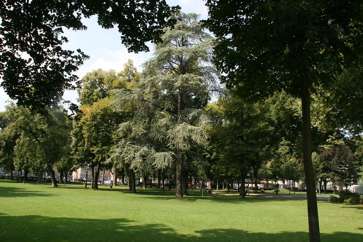 Parc du Champ de Mars park in Colmar with peaceful outdoor scenery