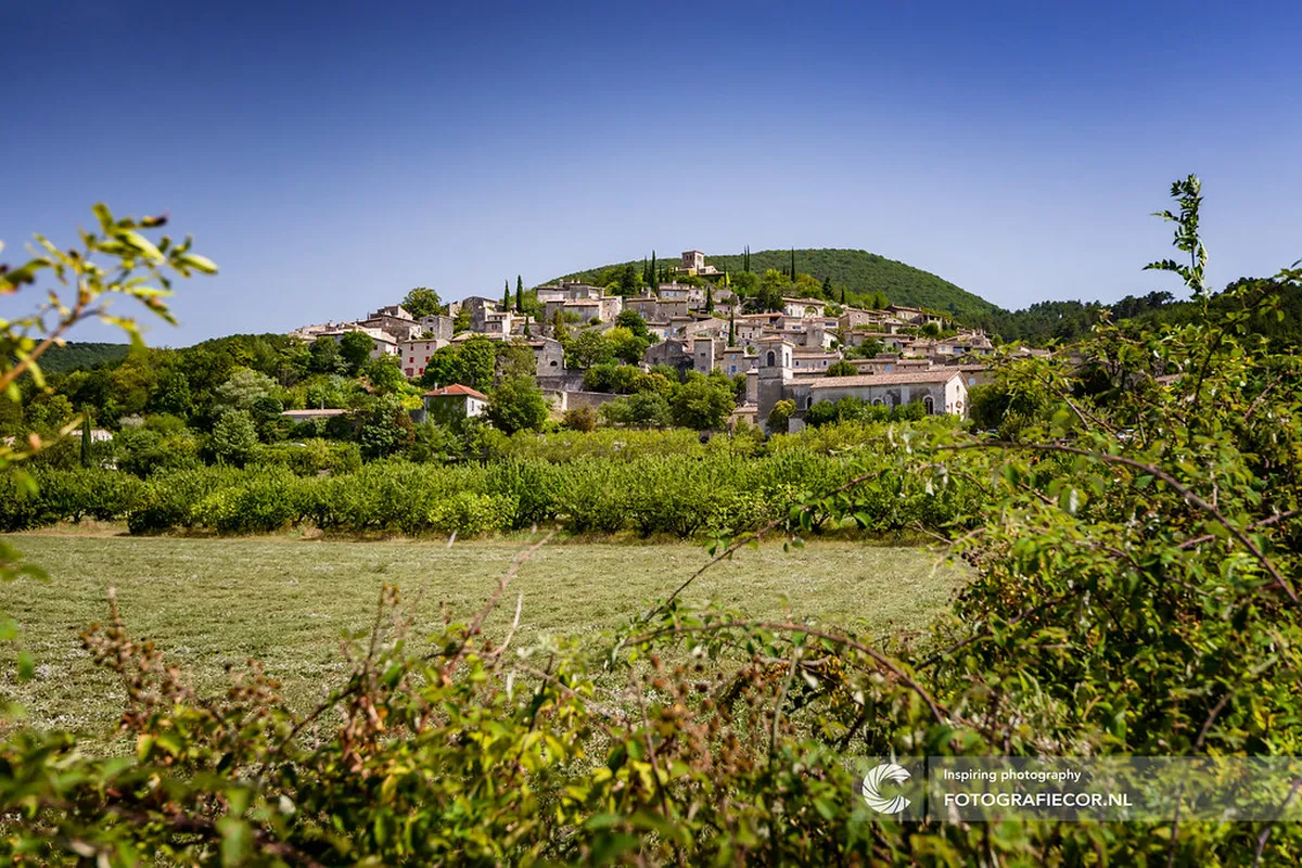 The lavender countryside of Provence near Marseille