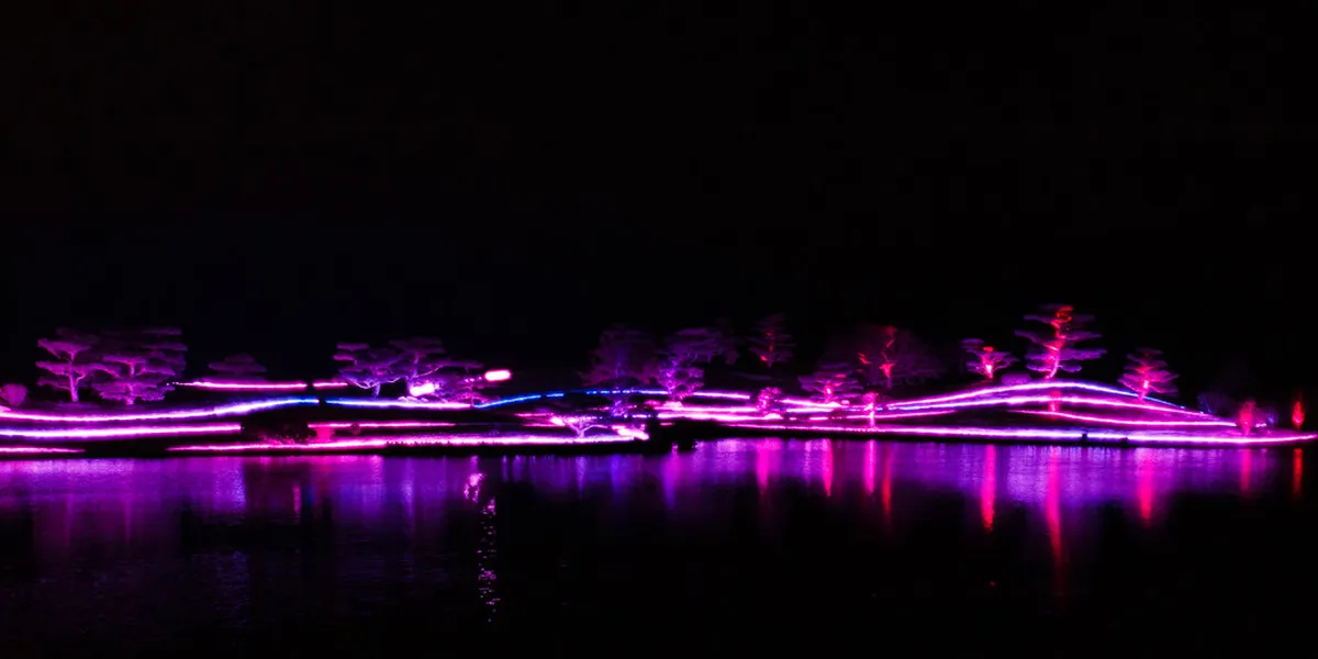 Evening torchlit tour through Montpellier botanical garden with night illumination