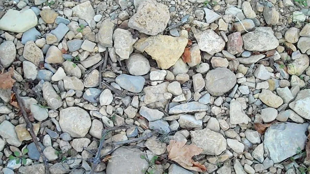 Languedoc vineyard terroir with rolling hills and Mediterranean landscape