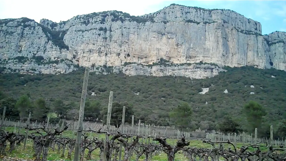 Pic Saint-Loup limestone vineyard near Montpellier with dramatic peak